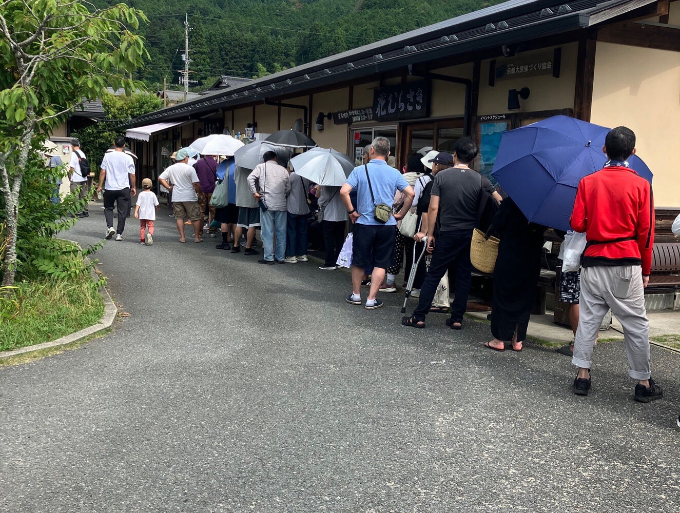 画像3538